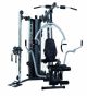 Finnlo AUTARK 6000 Homegym met Cable Tower
