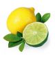 Sentiotec Saunageur Opgietconcentraat - Citrus Limoen 1L